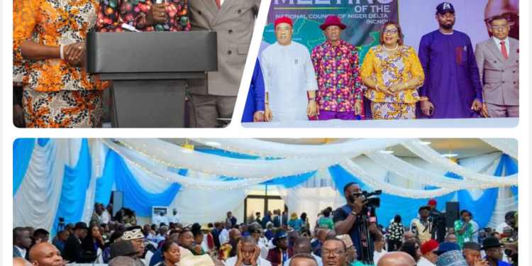 PhotoNews: Gov. Otu attends 6th National Council of Niger Delta Meeting in Asaba