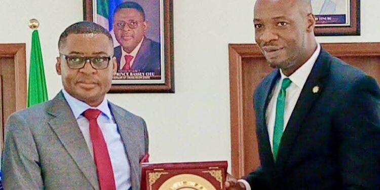 Strengthening Quality Healthcare Partnerships Will Promote the Health of Cross Riverians – Ag. Gov. Odey