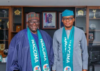 Odey: No State Can Be Economically Viable Without an Enabling Environment for the Private Sector