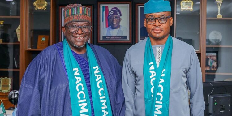 Odey: No State Can Be Economically Viable Without an Enabling Environment for the Private Sector