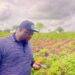 Obudu LG Chairman Raises Alarm Over Boundary Encroachment, Reaffirms Commitment to Security